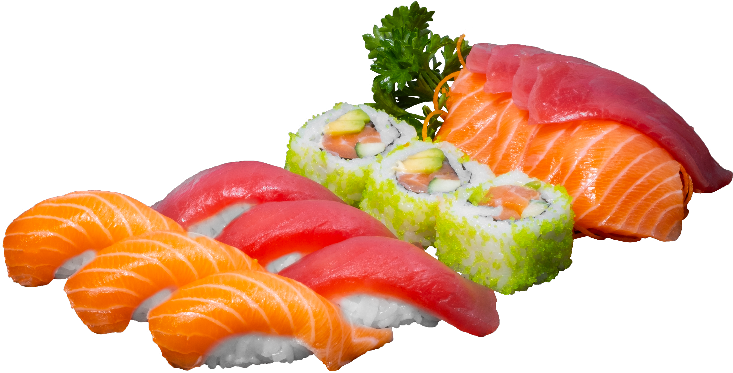 B5. Zalm & Tonijn Mix (17 stuks)