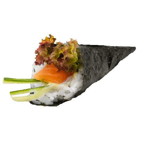 S37. Zalm Temaki