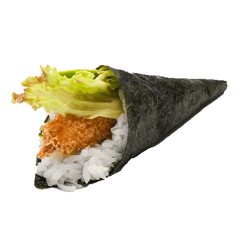 S42. Garnaal Temaki