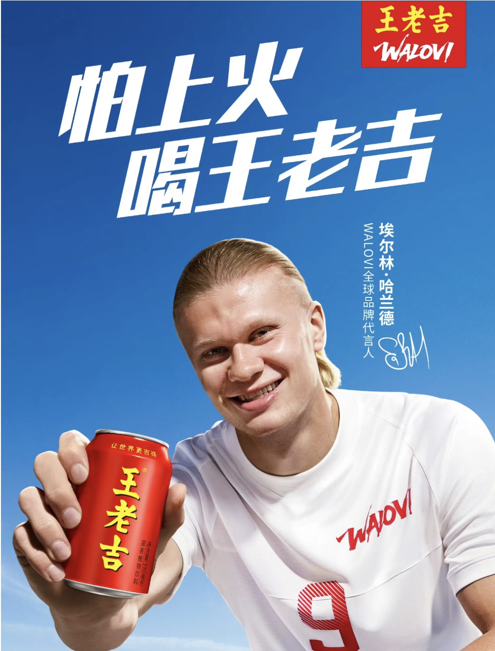 WLJ Herbal Tea